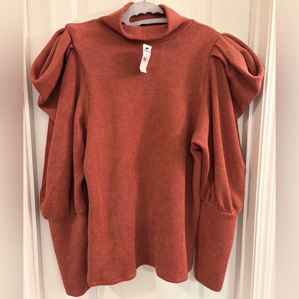 Express Rust Ribbed Puff Sleeve Sweater